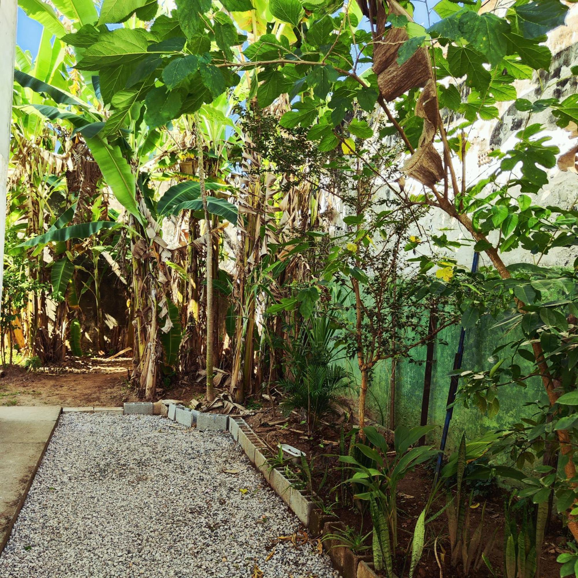 Homestay 11suites Casa #3